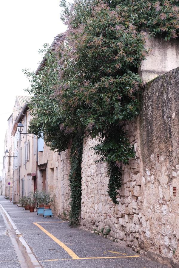 Gite Le Petit Ecolier Lectoure Zewnętrze zdjęcie